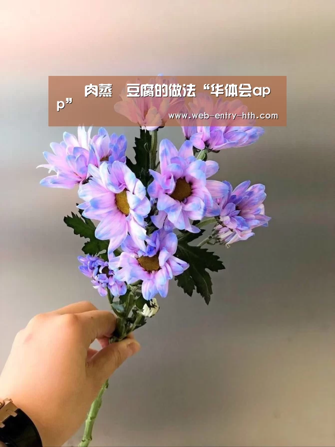 hth平台